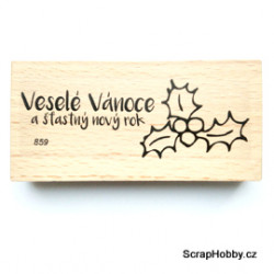 Veselé Vánoce a šťastný nový rok