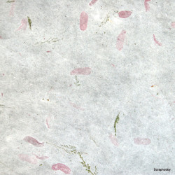 Morušový papír - tamarind