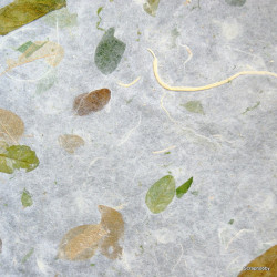 Rain Tree - přírodní