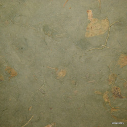 Scrapbooking - Mango - tmavě zelené