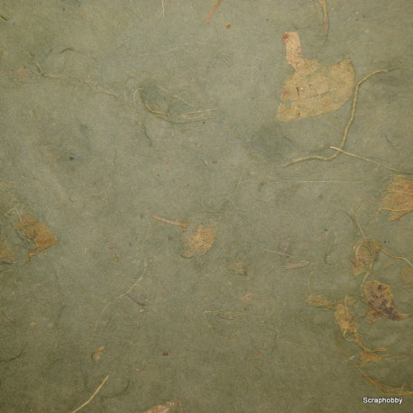 Scrapbooking - Mango - tmavě zelené