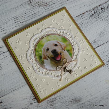 Budeme mít pejska :-)