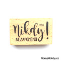 Nikdy nezapomenu