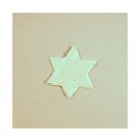 Hvězdičky bílé s perleťovým povrchem - malé