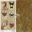 Papíry 30,5 x 15 cm - Butterfly Effect 14
