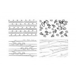 Scrapbooking - Razítka - Ornamenty II.