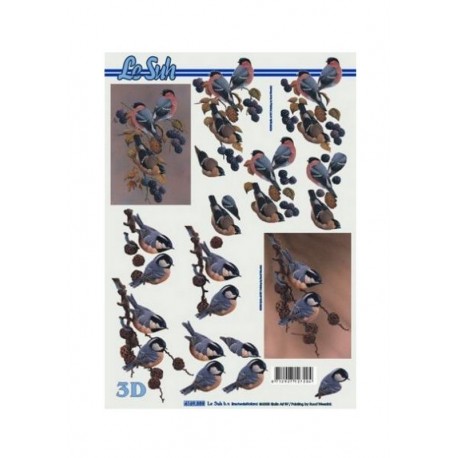 Scrapbook - Ptáci - podzim.