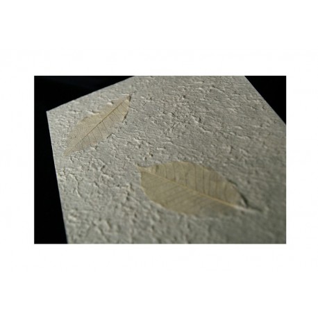 Thajský papír - Ruční morušový papír s listy Kaučukovníku