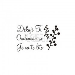 Děkuji Ti, Omlouvám se....