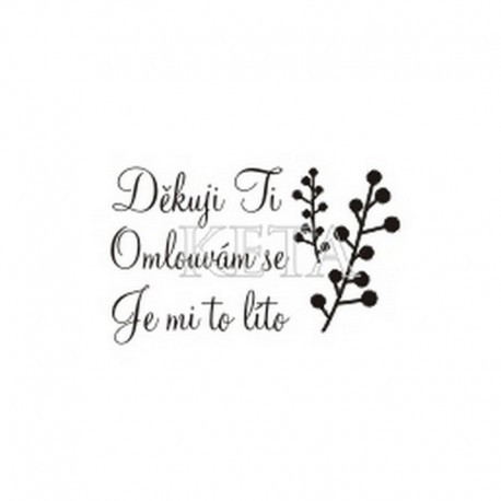 Děkuji Ti, Omlouvám se....﻿