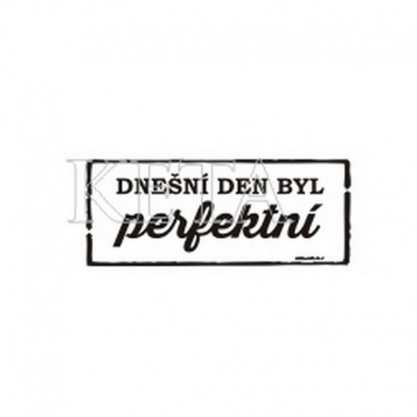 Dnešní den byl perfektní﻿
