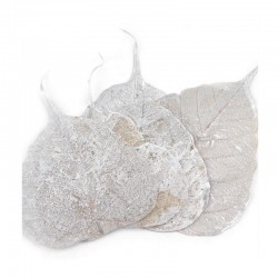 Síťované listy - stříbrné