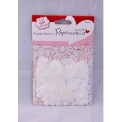 Kytičky bílé - malé