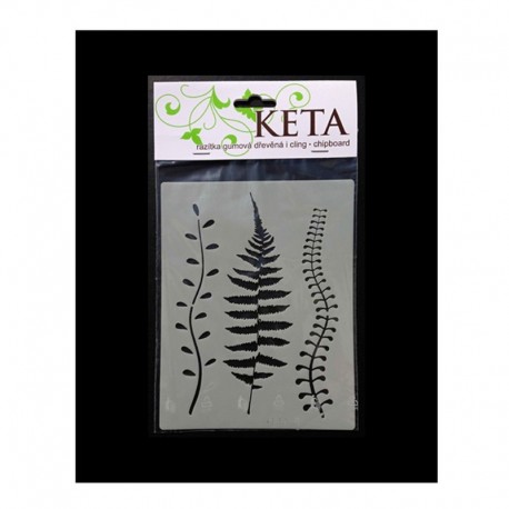 Šablona - Kapradiny