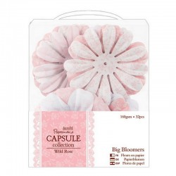 Kytičky velké - Wild Rose