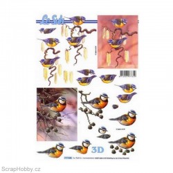 3D papíry - Sýkorky