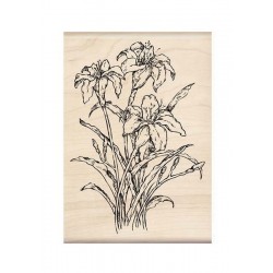 Scrapbooking - Kosatce