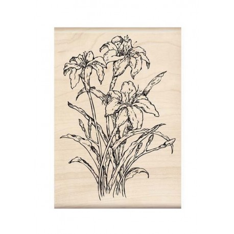 Scrapbooking - Kosatce