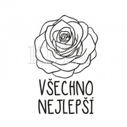 Všechno nejlepší