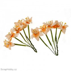 Sada kytiček - Lilie - broskvové - 10ks