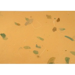 Rain Tree - béžový