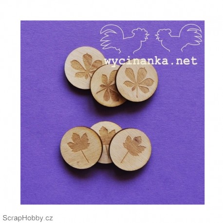 Kaštanové a javorové listy