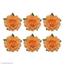 Sada kytiček - Čajové růže - 6ks - oranžové