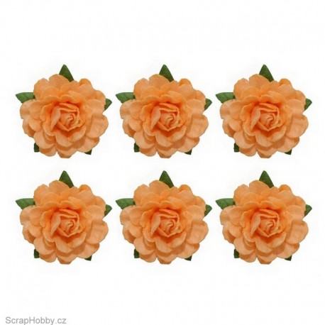 Sada kytiček - Čajové růže - 6ks - oranžové