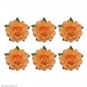 Sada kytiček - Čajové růže - 6ks - oranžové