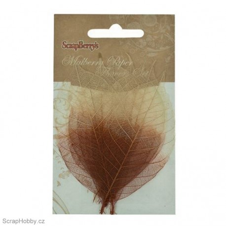 Síťované listy - Gumovníku - měděno-přírodní - 8ks