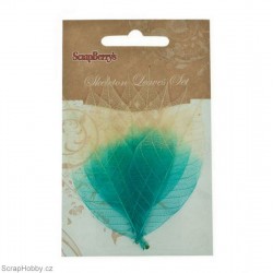 Síťované listy - Gumovníku - tyrkyso-přírodní - 8ks