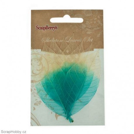 Síťované listy - Gumovníku - tyrkyso-přírodní - 8ks