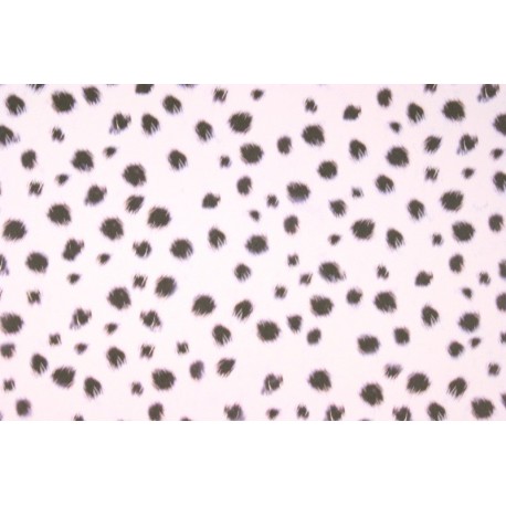 Scrapbooking - Zvířecí motiv