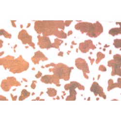 Scrapbooking - Kráva