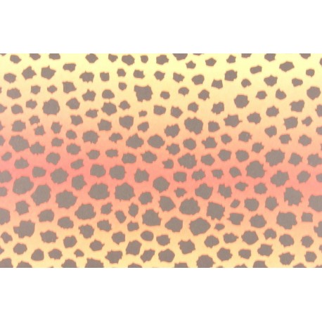 Scrapbooking - Levhard