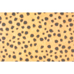 Scrapbooking - Gepard