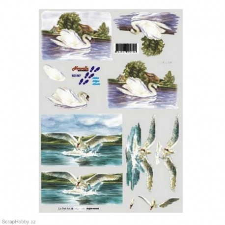 3D papíry - Labutě