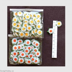 Sedmikrásky - oranžové