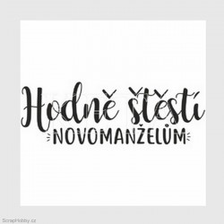 Hodně štěstí novomanželům