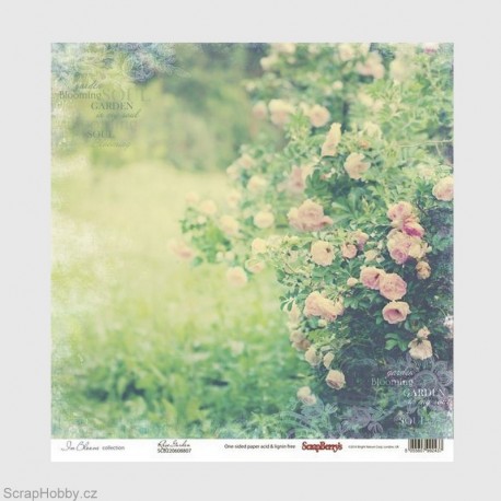 Jednostranný papír - In Bloom - Rose Garden