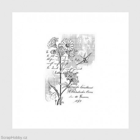 Květinka, písmo, vlaštovka