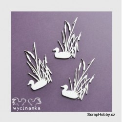 Kachnička - 3 ks
