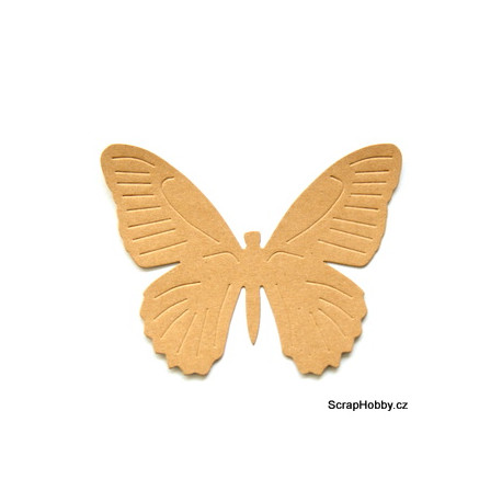Recyklovaný a embosovaný motýlek